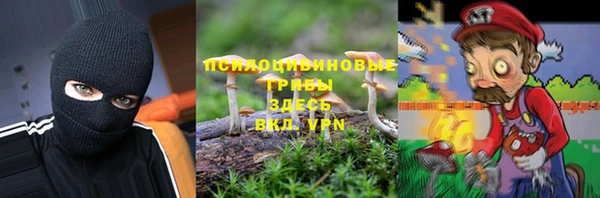 кокс Баксан