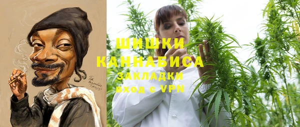 амф Арсеньев