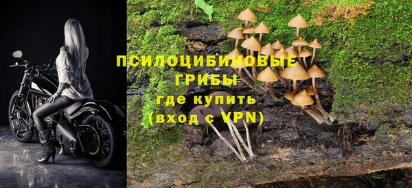 каннабис Аркадак